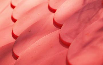 Botcheston plastic roof costs